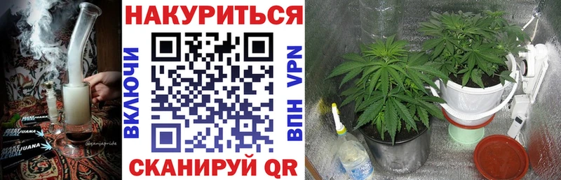 Шишки марихуана сатива  купить наркотик  блэк спрут вход  Бахчисарай 